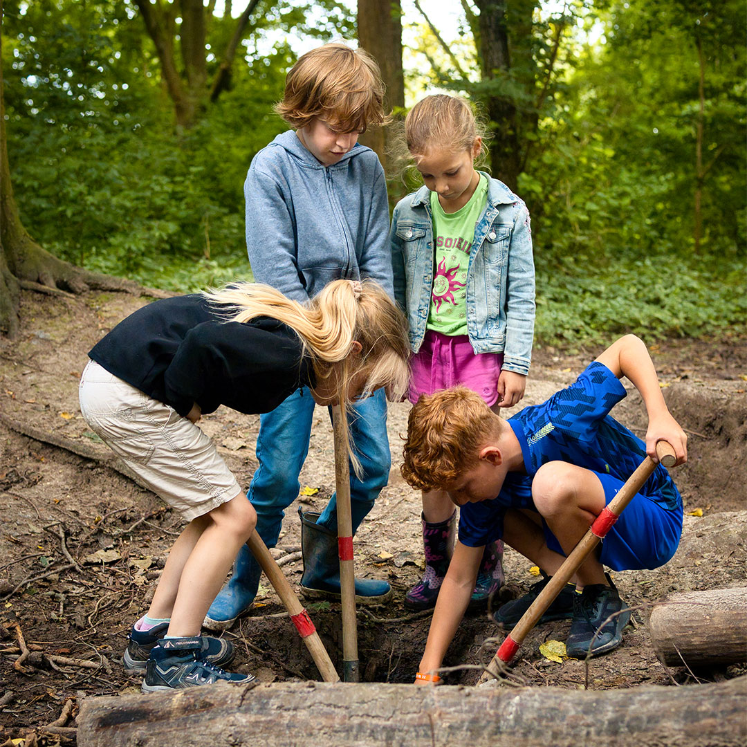 Groep kinderen onderzoekt samen de natuur in het bos bij Kids Lodge