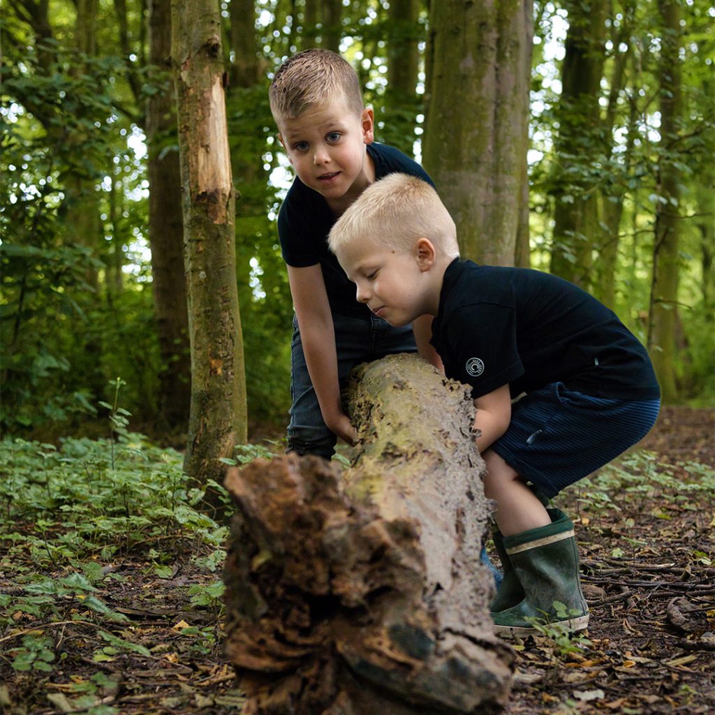 Kidslodge-header-574-pg